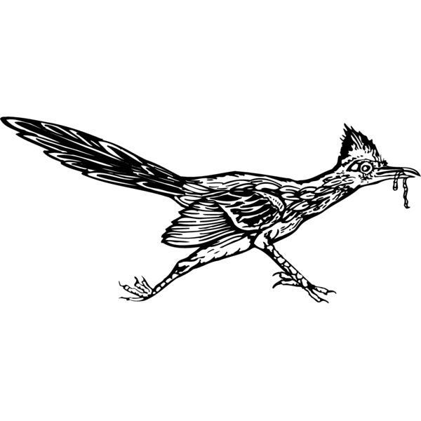 BIRD046 Miniaturansicht