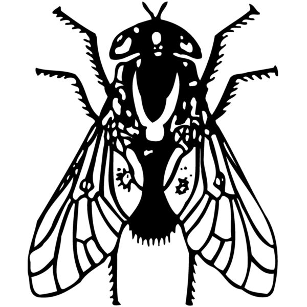 FLY02 Miniaturansicht