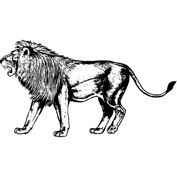 LION003 Miniaturansicht