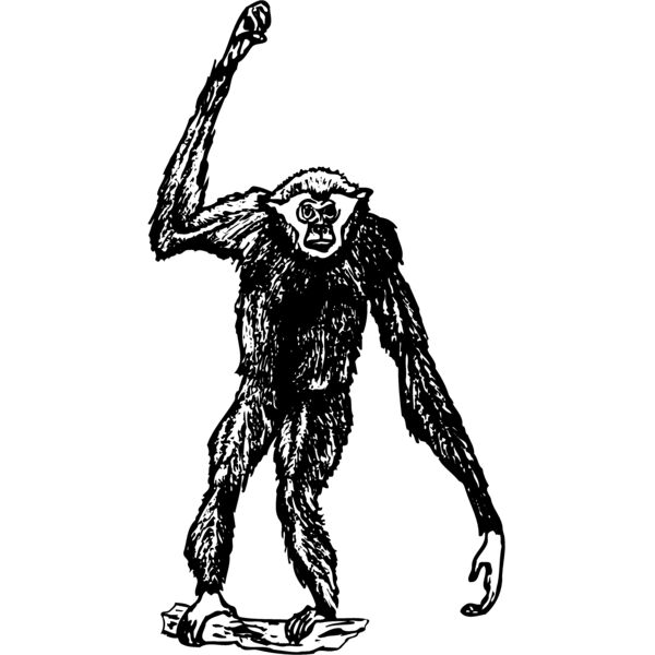 MONK003 Miniaturansicht