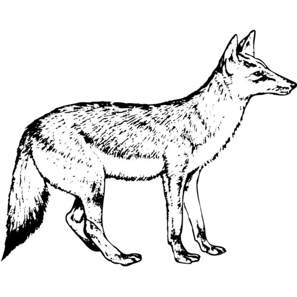 F_W001 Miniaturansicht