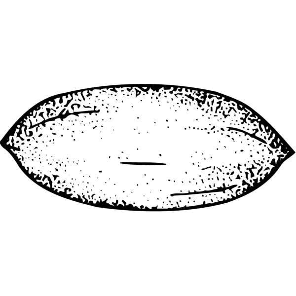 FRUIT006 Miniaturansicht