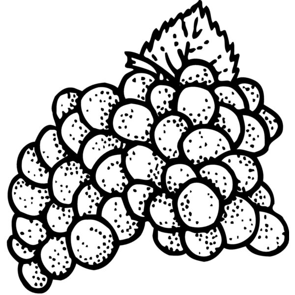 FRUIT016 Miniaturansicht