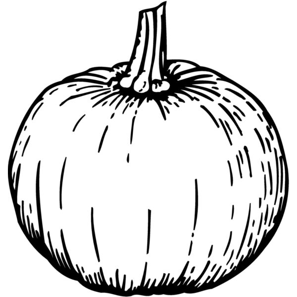 FRUIT040 Miniaturansicht