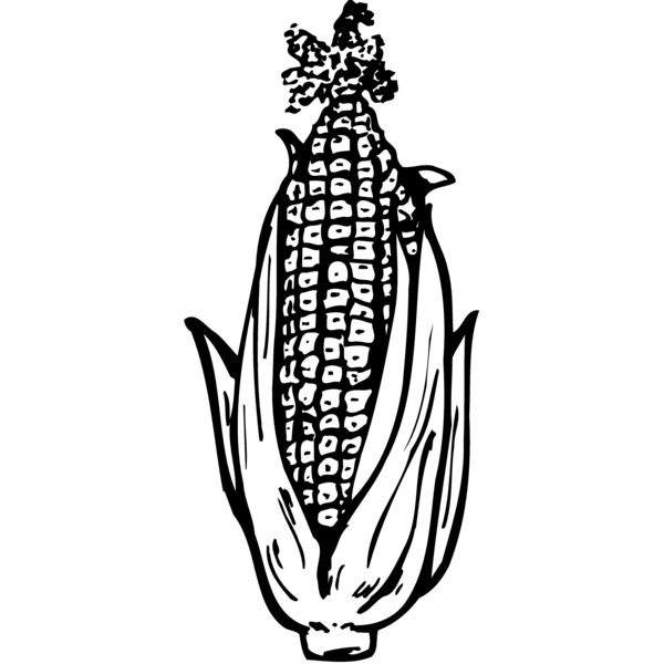 GRAIN013 Miniaturansicht