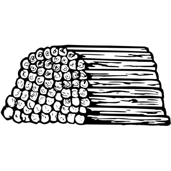 TIMBER11 Miniaturansicht