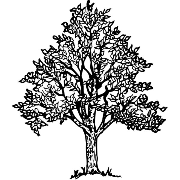 TREE0004 Miniaturansicht