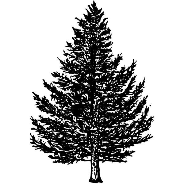 TREE0005 Miniaturansicht