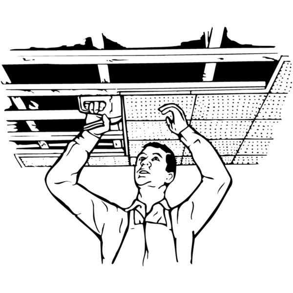 CARP008 Miniaturansicht