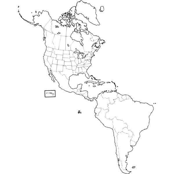 N_SAMER Miniaturansicht