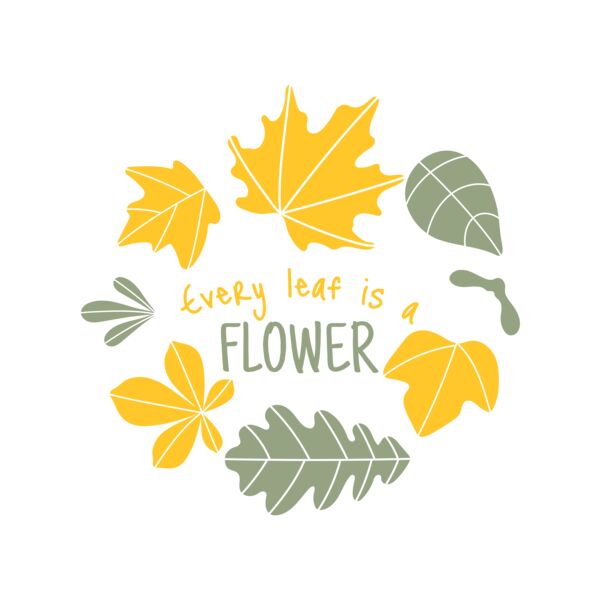 Fall Season 13 Miniaturansicht