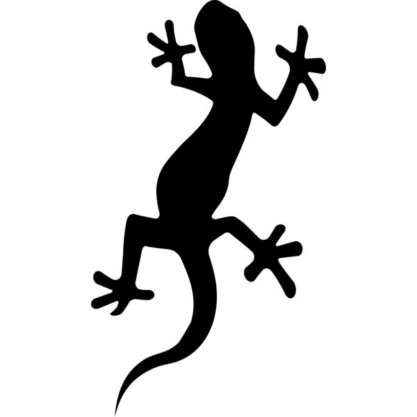 Newt   Clipart 1 Miniaturansicht