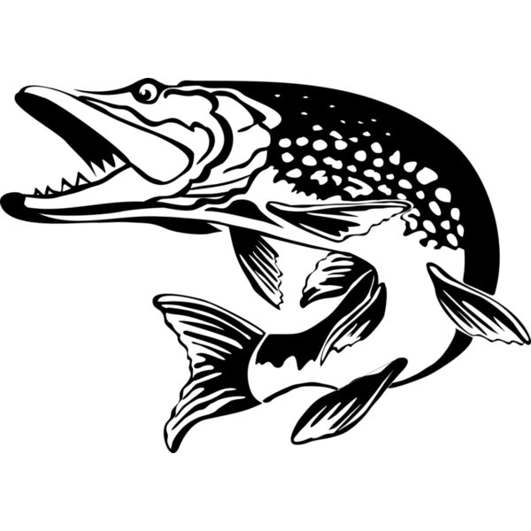 Fisch Hecht Miniaturansicht