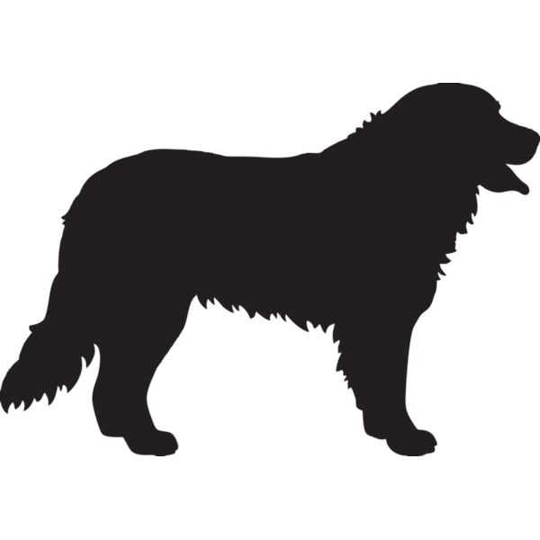 Hund Miniaturansicht